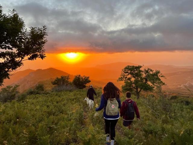 La Corte Di Montagna San Mango Экстерьер фото