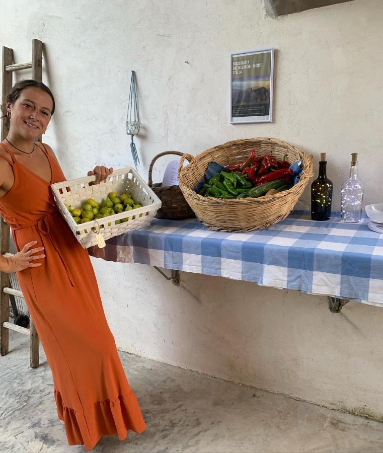 La Corte Di Montagna San Mango Экстерьер фото